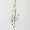 Afloral Artificial Branch With Green Buds - 40"