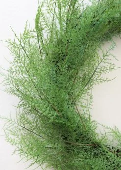 Afloral Outdoor Plastic Asparagus Fern Wreath - 26" Artificial Plants