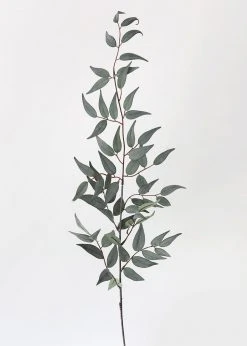 Afloral Artificial Plants Artificial Italian Ruscus Leaf Branch - 36"