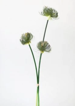 Afloral Artificial Plants Artificial Grasses Papyrus Reed Bundle - 32.5"