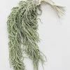 Afloral Green Preserved Amaranthus Hanging Flowers - 32-40" Dried Flowers