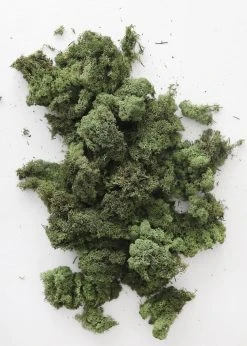 Afloral Dried Flowers Natural Green Preserved Reindeer Moss - 1 Lb