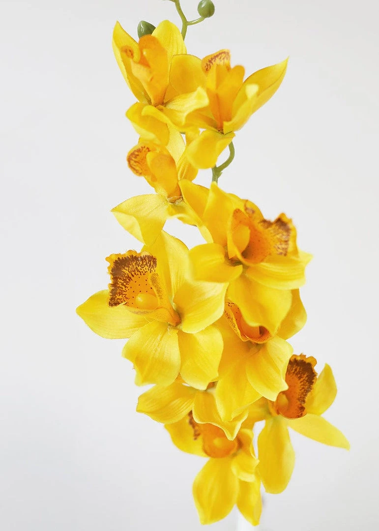 Afloral Silk Cymbidium Orchid In Golden Yellow - 30" Artificial Flowers