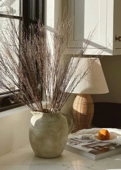 Afloral Dried Hoary Willow Branches - 20-30