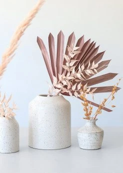 Afloral.com Bundle Of 5 Afloral Desert Pink Sun Palms - 18-24"