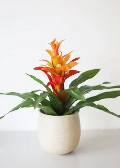 Afloral Artificial Indoor/Outdoor Bromeliad Plant - 21