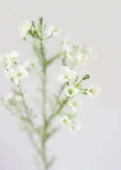 Afloral Artificial Flowers White Fake Waxflower Filler Flowers - 26"