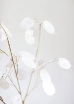 Afloral Faux Lunaria Silver Dollar Lunaria - 29