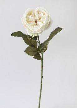 Afloral Eggshell Cream English Cabbage Rose - 25" Artificial Flowers