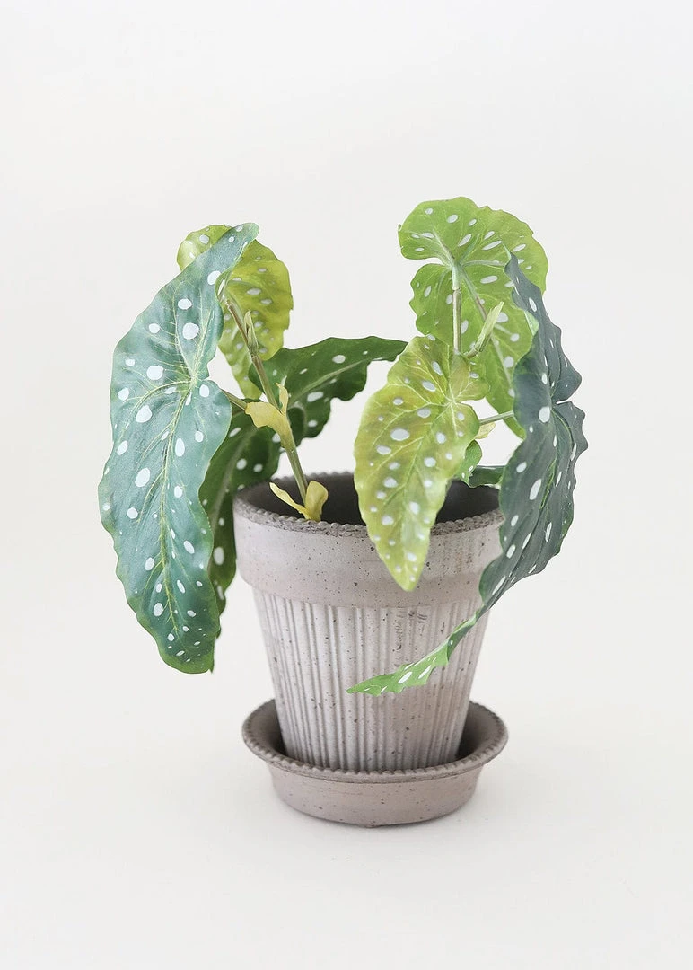 Afloral Artificial Plants Artificial Angel Wing Begonia Leaf Plant - 12"