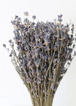 Afloral Dried Fragrant Lavender Bundle - 6-14" Dried Flowers