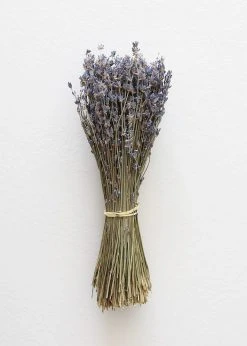 Afloral Dried Fragrant Lavender Bundle - 6-14" Dried Flowers