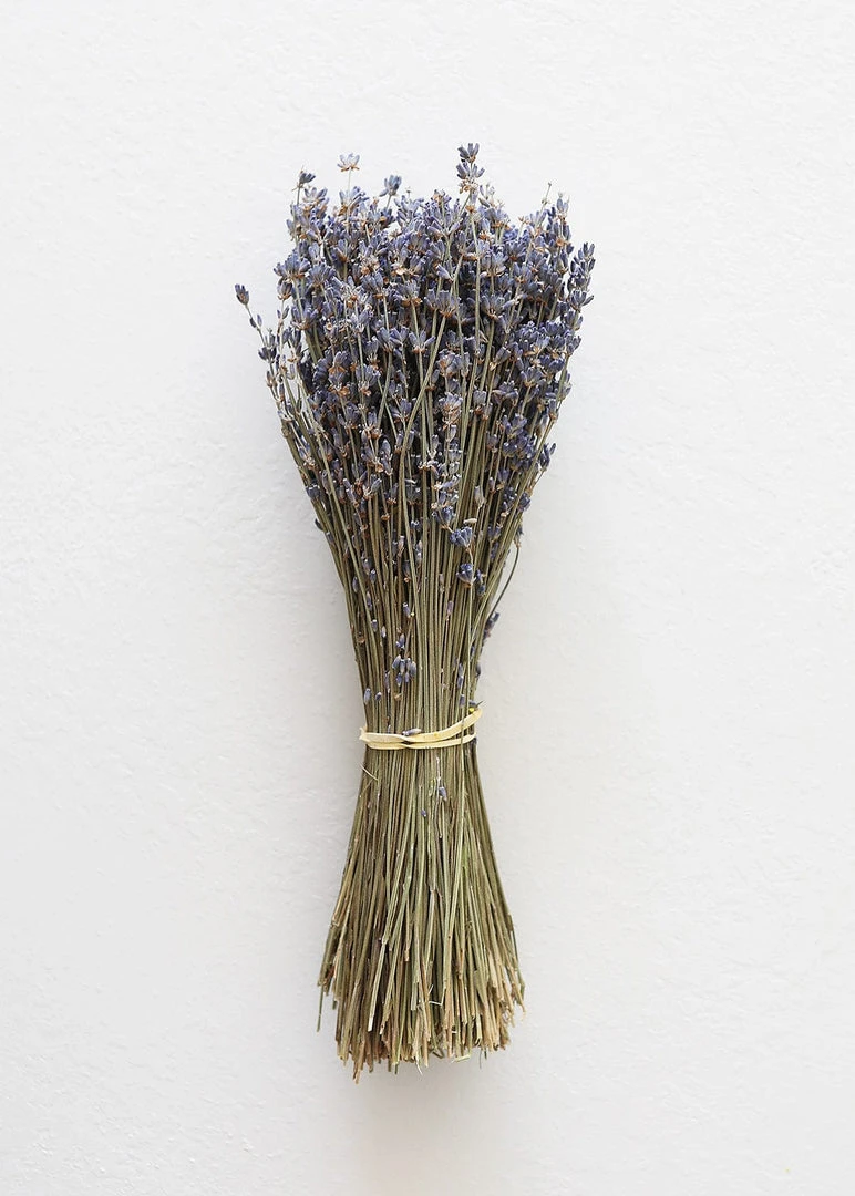 Afloral Dried Fragrant Lavender Bundle - 6-14" Dried Flowers