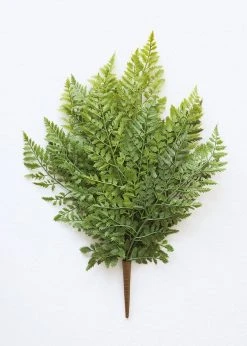 Afloral Fake Lace Fern UV Protected Real Touch Plant - 19"
