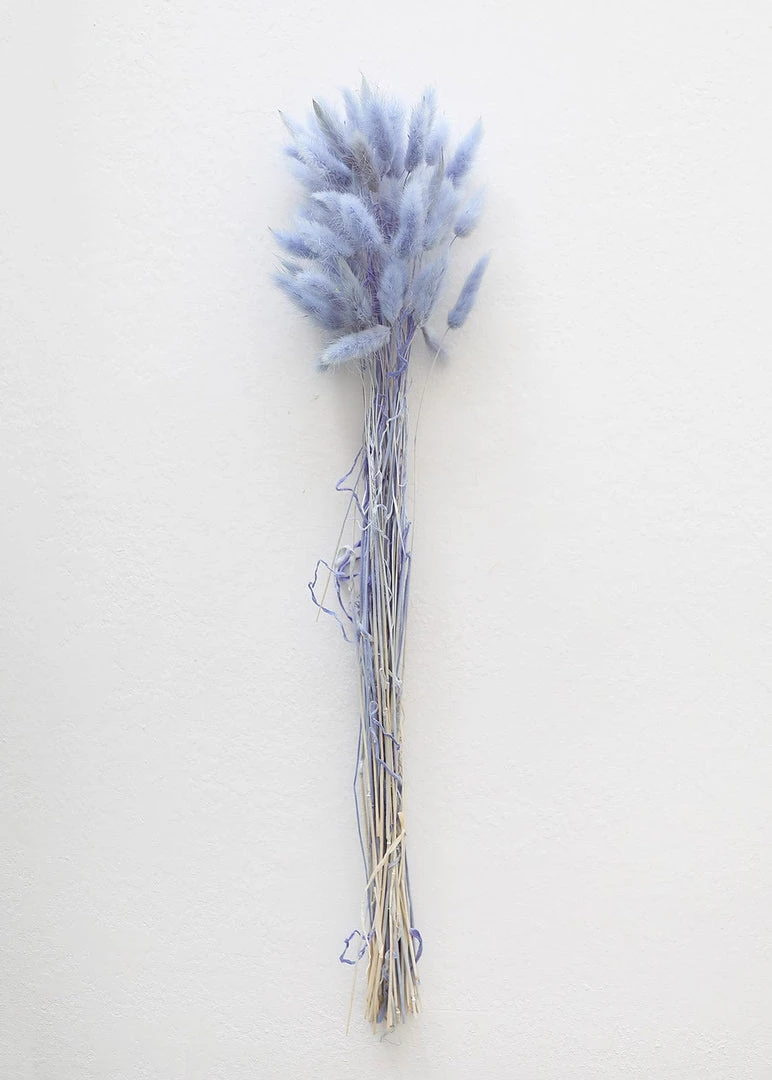 Afloral Light Blue Dried Bunny Tails - 18-28" Dried Flowers