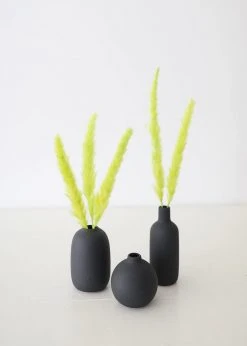 Afloral Chartreuse Dried Pampas Grass - 25-28