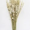 Afloral Cream Dried Larkspur Wildflowers - 23-26" Dried Flowers
