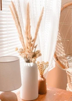 Afloral Bundle Of 6 Smooth Tan Pampas Grass - 25-30