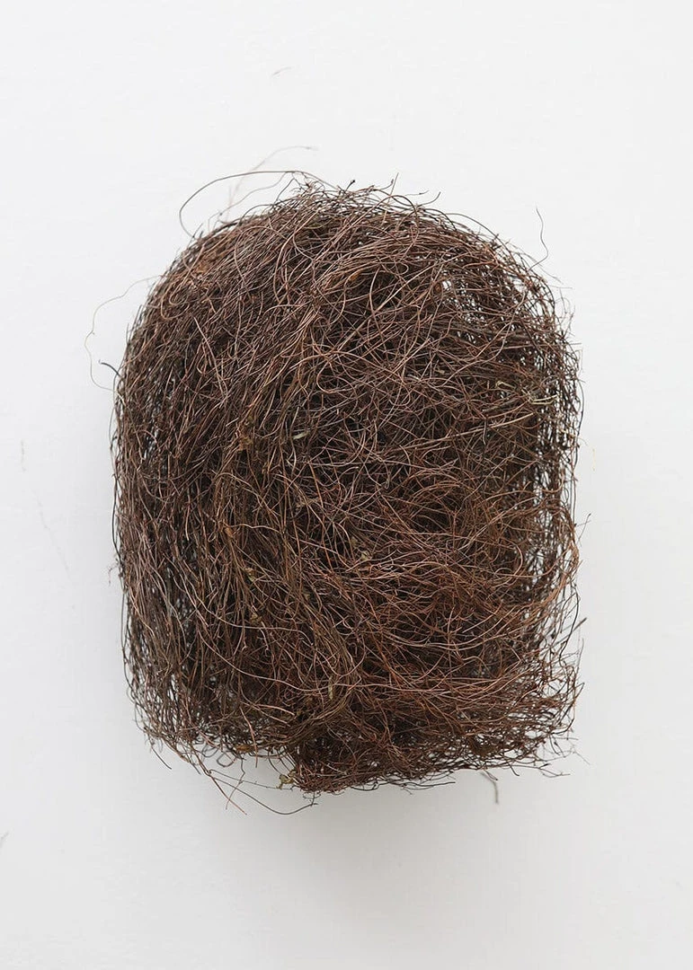 Afloral Dried Flowers Natural Dried Angel Vine For Foam-Free Floral Designs - 8 Oz