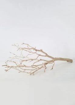 Afloral Dried Flowers Dried Decor Sandblasted Manzanita Branch - 34-38
