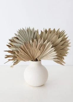 Bundle Of 5 Afloral Natural Sun Palms - 14-20