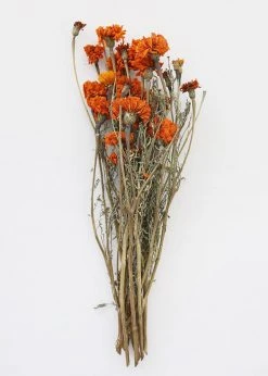 Afloral Dried Flowers Orange Dried Marigold Flowers - 14-22