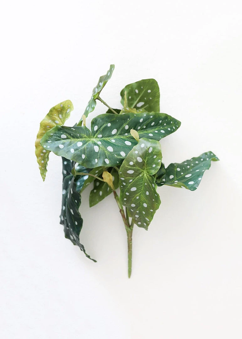 Afloral Artificial Plants Artificial Angel Wing Begonia Leaf Plant - 12"