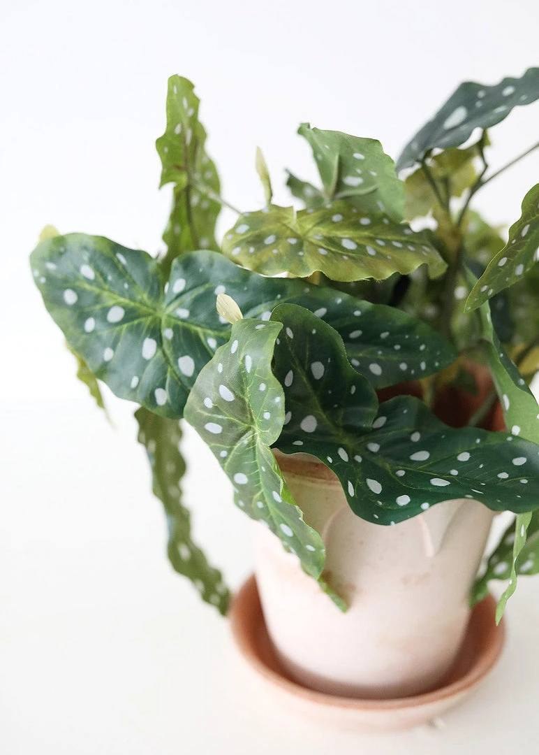 Afloral Artificial Plants Artificial Angel Wing Begonia Leaf Plant - 12"