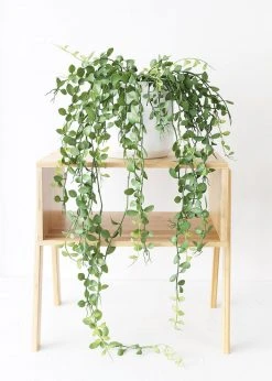 Afloral Artificial Plants Hanging Button Leaf Plant - 40"