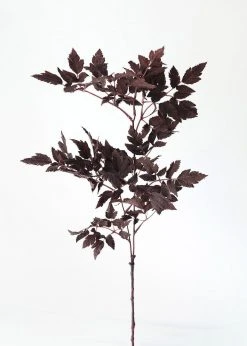 Afloral Plum Fake Cimicifuga Ramosa Leaves - 31" Artificial Plants