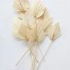 Afloral Dried Flowers Bundle Of 10 Bleached Dried Palm Spears - 14-20"