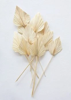 Afloral Dried Flowers Bundle Of 10 Bleached Dried Palm Spears - 14-20
