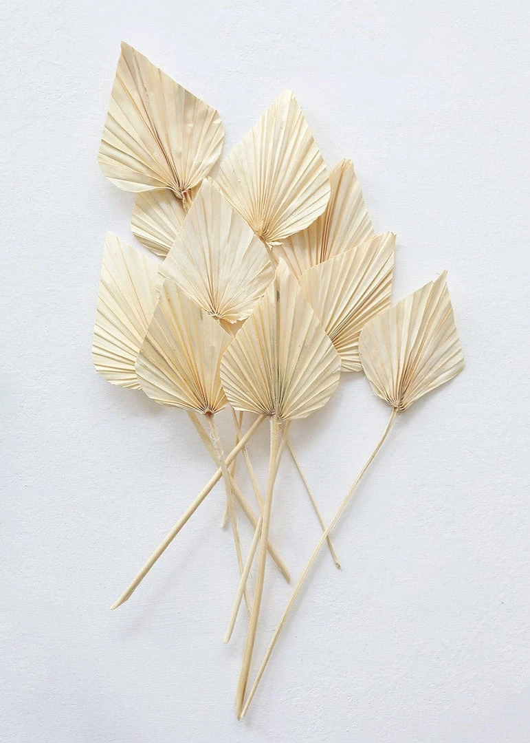 Afloral Dried Flowers Bundle Of 10 Bleached Dried Palm Spears - 14-20"