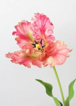 Afloral Artificial Parrot Tulip In Pink Green - 27.5"