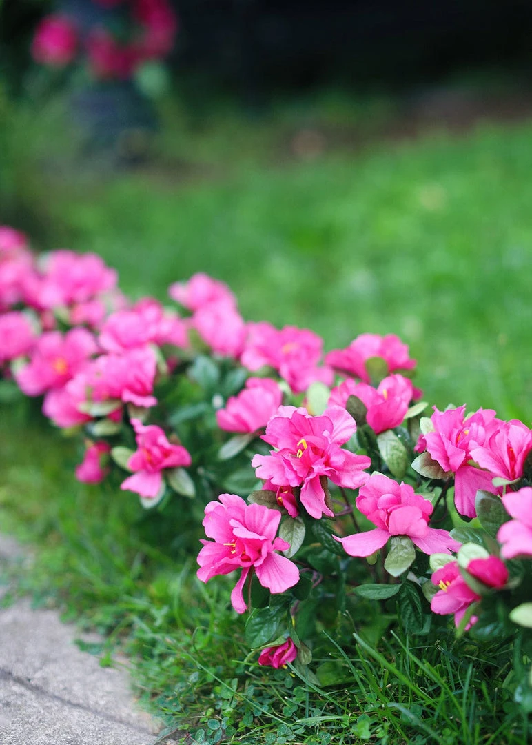 Afloral Azalea Silk Flowers Bush In Fuchsia - 13" Artificial Flowers