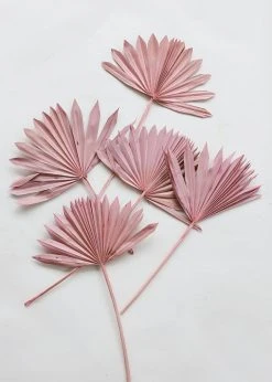 Afloral.com Bundle Of 5 Afloral Desert Pink Sun Palms - 18-24"