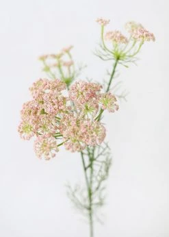 Afloral Artificial Flowers Faux Dill Wildflowers In Pink - 35"