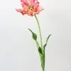 Afloral Artificial Parrot Tulip In Pink Green - 27.5"