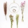 Afloral Dried Flowers Petite Pink Dried Floral Bundles DIY Hoop Kit