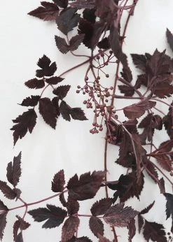 Afloral Artificial Plants Plum Cimicifuga Seeded Garland - 6'