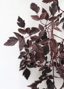 Afloral Artificial Plants Plum Cimicifuga Seeded Garland - 6'