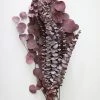 Afloral Burgundy Preserved Mixed Eucalyptus Bundle - 22-32"