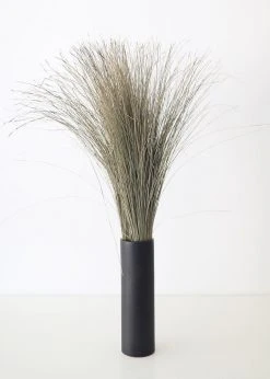 Afloral Preserved Dune Grass - 36