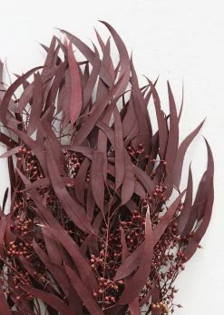 Afloral Preserved Burgundy Seeded Eucalyptus - 18-28" Dried Flowers