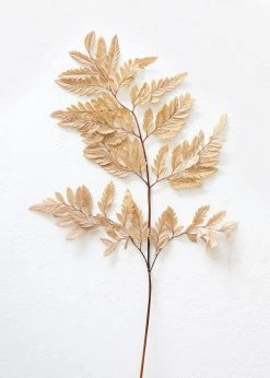 Afloral Bundle Of 10 Preserved Taupe Flat Ferns - 16-20"