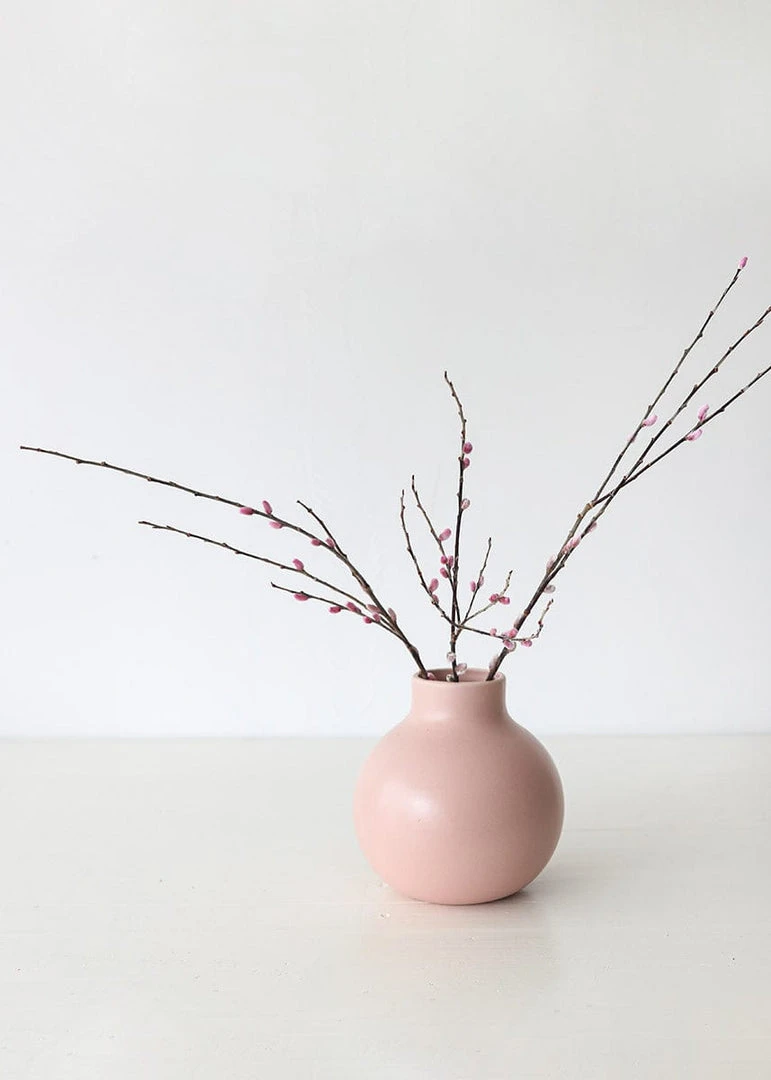Afloral Preserved Pink Pussy Willow Branches - 20-28"