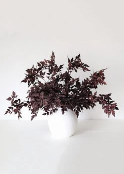 Afloral Plum Fake Cimicifuga Ramosa Leaves - 31