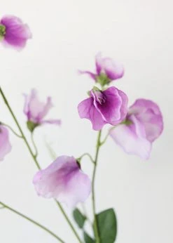 Afloral Purple Lavender Sweet Pea Wildflowers - 26.75