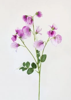 Afloral Purple Lavender Sweet Pea Wildflowers - 26.75