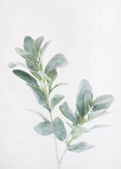 Afloral Flocked Lambs Ear Leaf - 28